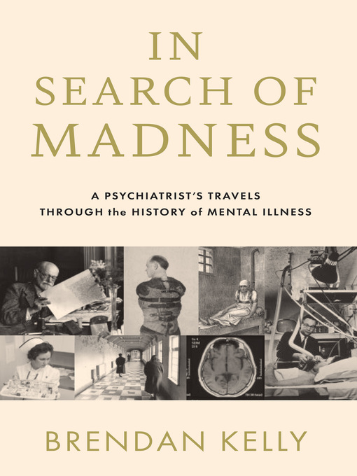 Title details for In Search of Madness by Brendan Kelly - Wait list